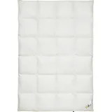 OBB 120 Jahre Daunendecke Sommer 135x200