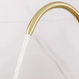 REA ECO FRESH Spültischarmatur Gold