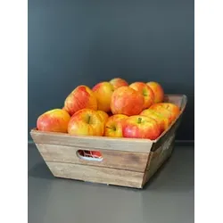 Obstkorb Äpfel 4 KG im Korb FRUITON