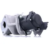 Delphi EG10415-12B1