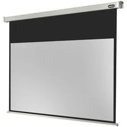 celexon Leinwand Motor Professional 300 x 169 cm
