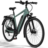 Fischer VIATOR 2.1 28 Zoll RH 55 cm Unisex grün