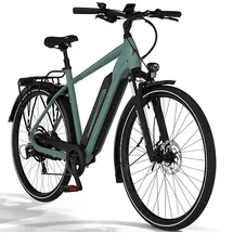 Fischer VIATOR 2.1 28 Zoll RH 55 cm Unisex grün
