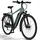 Fischer VIATOR 2.1 28 Zoll RH 55 cm Unisex grün