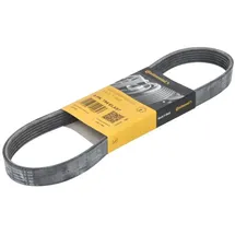 Continental CONTITECH 6PK794 ELAST