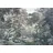 KOMAR Fototapete Vlies Fairytale Forest 400 x 280 cm