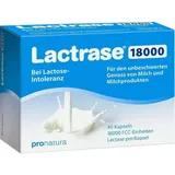 Pro Natura Lactrase 18.000 FCC Kapseln 40 St.
