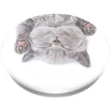 PopSockets PopGrip Cat Nap grau