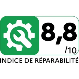 Rowenta Compact Power RO3923 rot