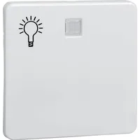 Elso 213154 Wippe beleuchtet und Symbol Licht reinweiß