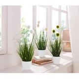 OTTO home Kunstgras OTTO HOME "Grasbusch, naturgetreue Kunstpflanze, 35cm hoch", grün (grün, weiß), H:35cm Ø:7,5cm, Kunststoff, Kunstpflanzen, im 3 teiligen Set, mit Übertopf wahlweise in schwarz oder weiß