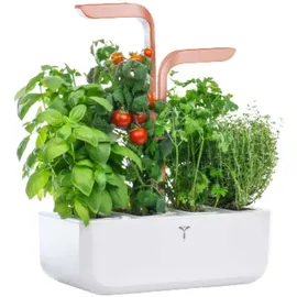 Veritable Véritable SMART Ø 38 x 16,7 cm Weiß