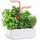Veritable Véritable SMART Ø 38 x 16,7 cm Weiß