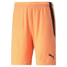 Puma Teamliga Shorts, Neon Citrus Black, XXL