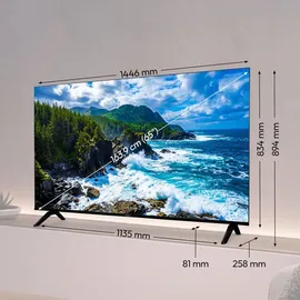 Medion MD 865201 65" 3840 x 2160 Pixel LED 4K Fernseher
