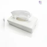 Blanc HYGIENIC Kosmetiktuchspender FUTURA in Edelstahl & Weiß, Füllkapazität: 100 Blatt, für Wandmontage geeignet, Spender für Kosmetiktücher