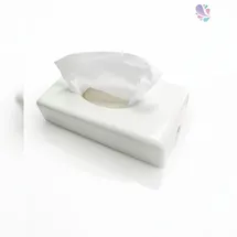 Blanc HYGIENIC Kosmetiktuchspender Edelstahl/Weiß