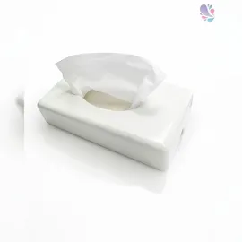 Blanc HYGIENIC Kosmetiktuchspender Edelstahl/Weiß