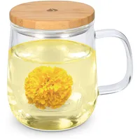 Navaris Teeglas mit Sieb 0,5 l