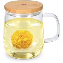 Navaris Teeglas mit Sieb 0,5 l