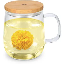 Navaris Teeglas mit Sieb 0,5 l