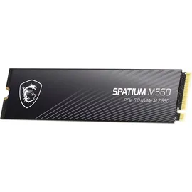 MSI Spatium M560 1 TB M.2