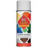Kwasny Hitcolor lichtgrau RAL 7035 400ml
