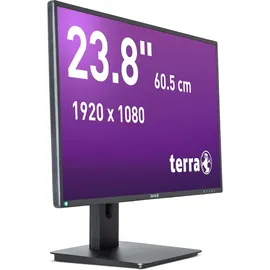 WORTMANN TERRA 2456W PV V4 24"