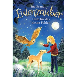 Hilfe für das kleine Fohlen - Eulenzauber (Bd. 6)
