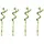 meinvipshop Lucky Bamboo 50cm 4er spiral Bambus | Gr.: onesize