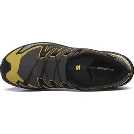 Salomon XA Pro 3D V9 GTX Herren Urban Chic/Black/Cress Green 44