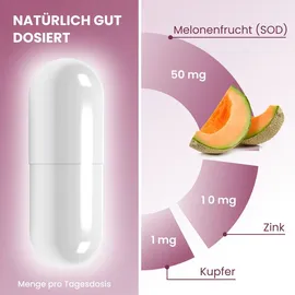 plantoCAPS pharm GmbH Celluvite Plus Kapseln 60 St.