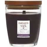 yankee candle s.r.o. nature's wick Mittlere Kerze im Glas, Wildberry Jasmine,