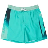 QUIKSILVER Everyday Holmes Volley Badeshorts Blau/Türkis 16"
