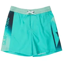 QUIKSILVER Everyday Holmes Volley Badeshorts Blau/Türkis 16"