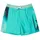 QUIKSILVER Everyday Holmes Volley Badeshorts Blau/Türkis 16"