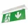 McShine Notbeleuchtung FL-250, Fluchtwegleuchte, LED mit Akku, Wand- - Deckenmontage, 8 Piktogramme, Dauerbetrieb
