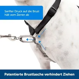 PetSafe 3-in-1-Geschirr und Rückhaltegurt