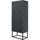 Selsey Veldio 50 x 0 x 0 cm 3 Klappen schwarz matt / schwarz