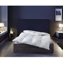 OBB Black Forest Gänsedaunen-Kassettendecke Winterdecke Birta warm Größe 155x220 cm)