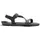 Xero Shoes Z-trail Ev Herren Steel Grey/Asphalt 40