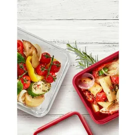 Emsa Frischhaltedose quadratisch rot 1,3 l