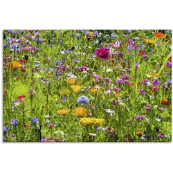 Artland Wandbild »Bunte Blumenwiese«, Blumenwiese, (1 St.), als Alubild, Outdoorbild, Leinwandbild, Poster, Wandaufkleber Artland Farbe Bild(er): bunt