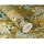 Schöner Wohnen Vliestapete BOTANICAL Dschungel 10,05 m x 0,53 m Grün/Beige 600643