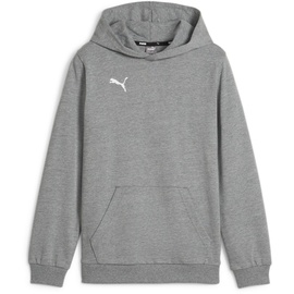 Puma Jungen Teamgoal Casuals Hoody Jr Pullover, Medium Gray Heather-puma White, 164 EU