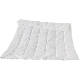 Traumina Premium Selection Faser Solo Leicht WK 2 (Größe: 155x220 cm)