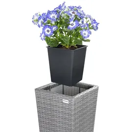 CASARIA Polyrattan, Blumentopf 3er-Set Grau