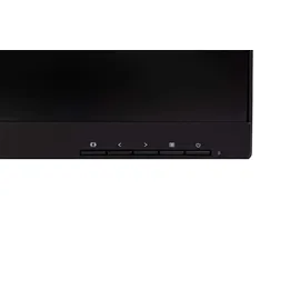 AOC X24P1 24"