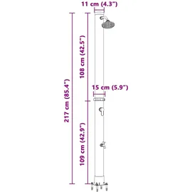 vidaXL Außen Solardusche Schwarz 217 cm