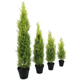 Europalms Zypresse, Leyland, 120cm